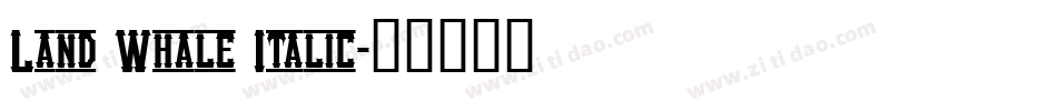 Land Whale Italic字体转换